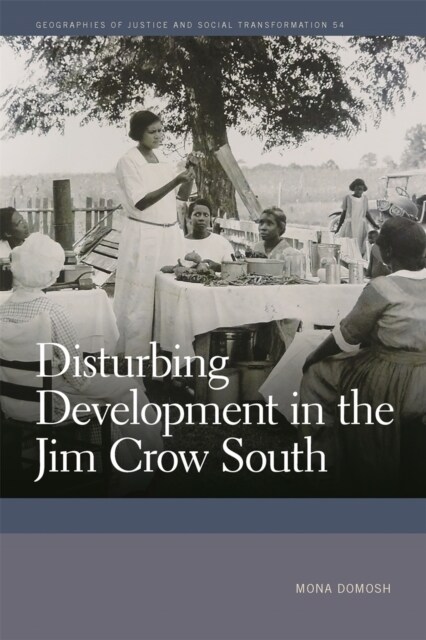 Disturbing Development in the Jim Crow South (Digital (delivered electronically))