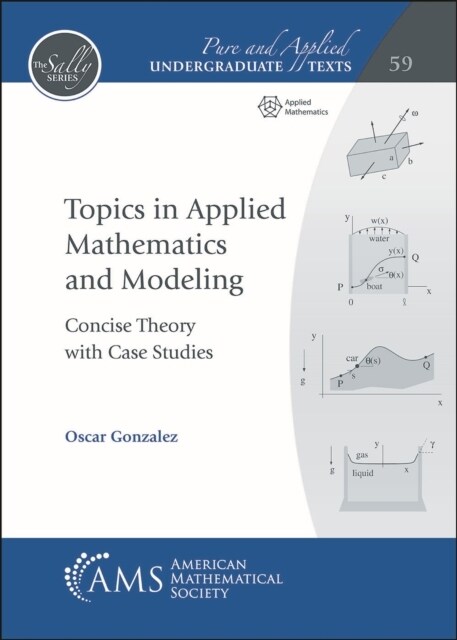 Topics in Applied Mathematics and Modeling (Paperback)