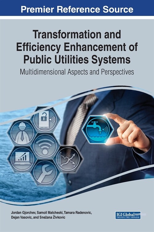 Transformation and Efficiency Enhancement of Public Utilities Systems: Multidimensional Aspects and Perspectives (Hardcover)
