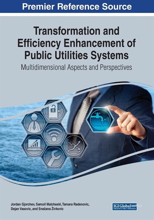 Transformation and Efficiency Enhancement of Public Utilities Systems: Multidimensional Aspects and Perspectives (Paperback)