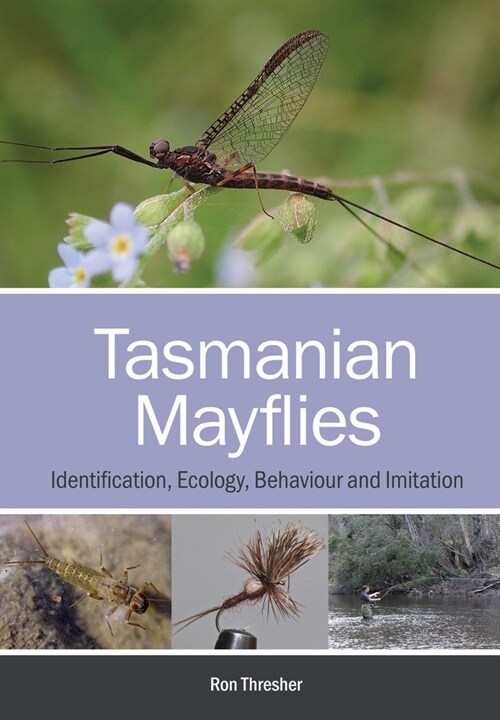 Tasmanian Mayflies: Identification, Ecology, Behaviour and Imitation (Paperback)