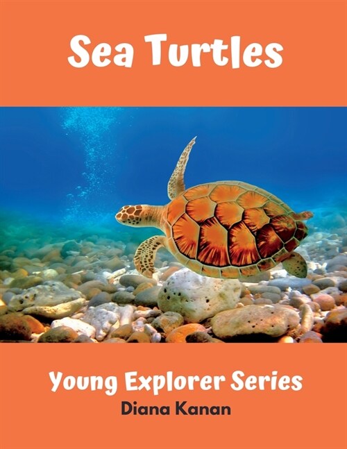 Sea Turtles (Paperback)