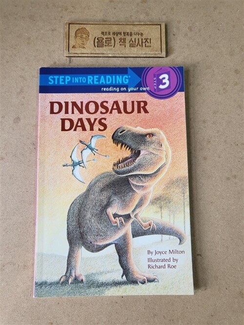 [중고] Dinosaur Days (Paperback)