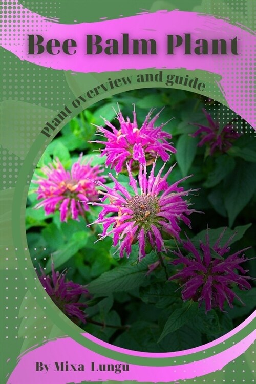 Bee Balm Plant: Plant overview and guide (Paperback)