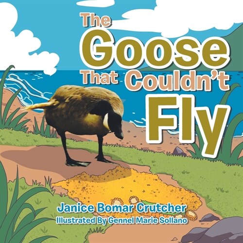 The Goose That Couldnt Fly (Paperback)