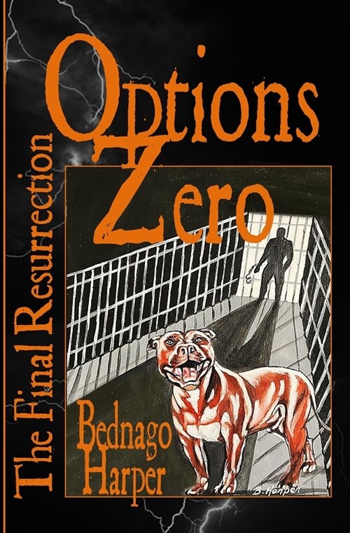 Options Zero: The Final Resurrection (Paperback)