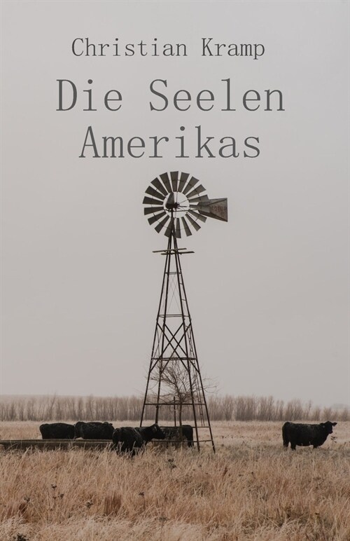 Die Seelen Amerikas: Kurze Geschichten des Mittleren Westens (Paperback)