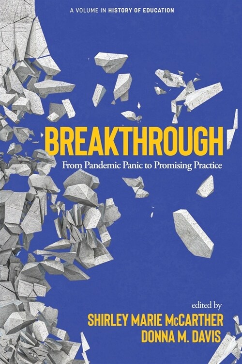 Breakthrough: From Pandemic Panic to Promising Practice (Paperback)