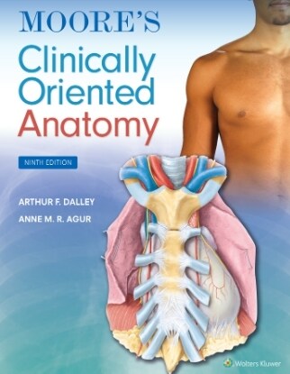 [eBook Code]Moores Clinically Oriented Anatomy (9th)