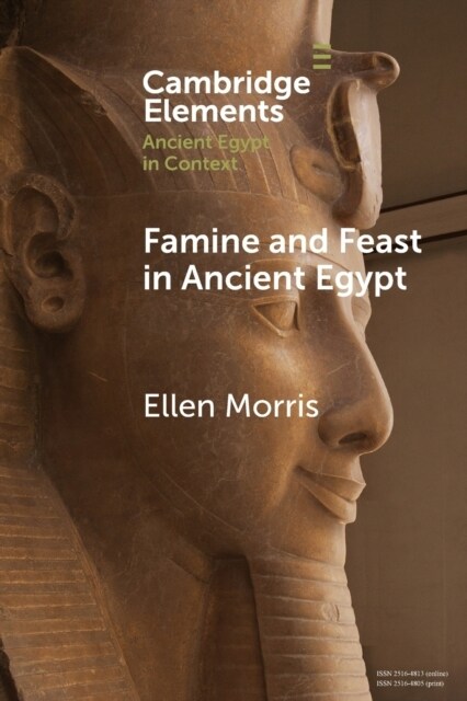 Famine and Feast in Ancient Egypt (Paperback)