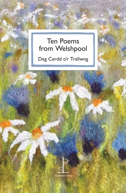 Ten Poems from Welshpool : Deg Cerdd or Trallwng (Paperback)