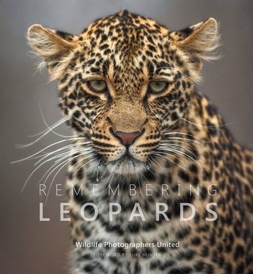 Remembering Leopards (Hardcover)