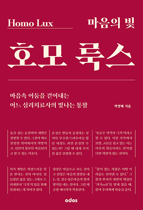 마음의 빛 호모 룩스