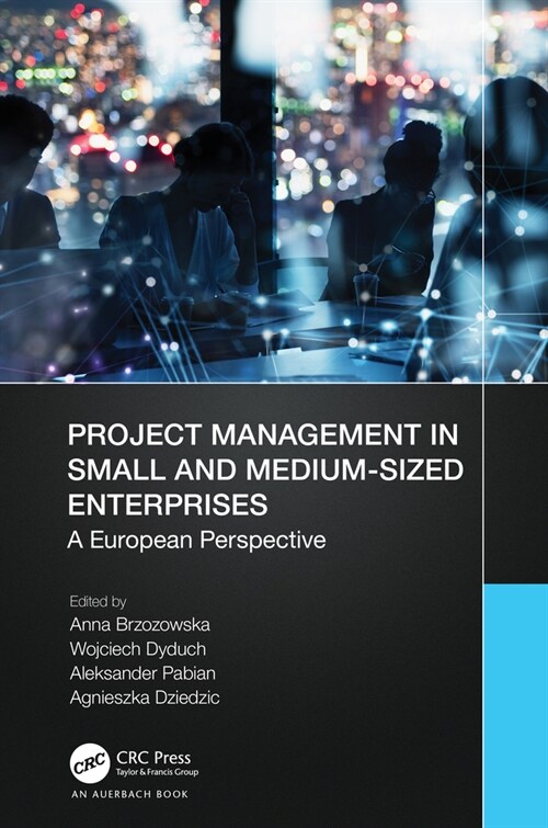 Project Management in Small and Medium-Sized Enterprises : A European Perspective (Hardcover)
