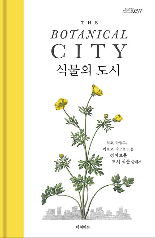 [중고] 식물의 도시