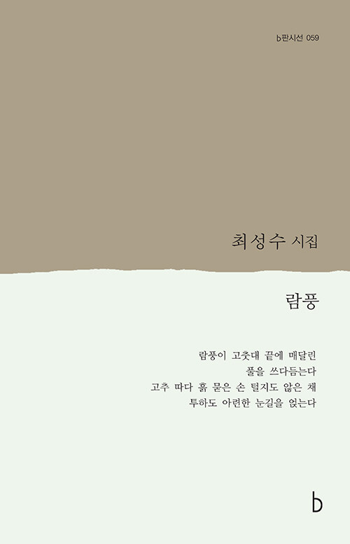 [중고] 람풍