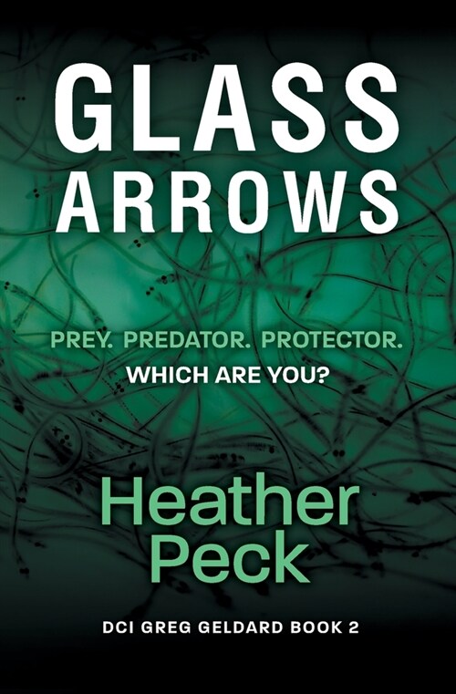 Glass Arrows (Paperback)