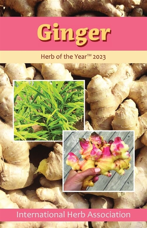 Ginger: Herb of the Year 2023 (Paperback)