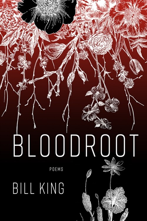 Bloodroot (Paperback)