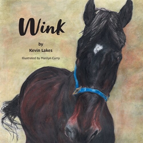 Wink (Paperback)