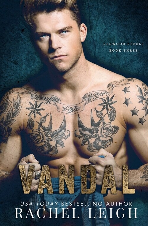 Vandal: A Dark Bully Romance (Paperback)