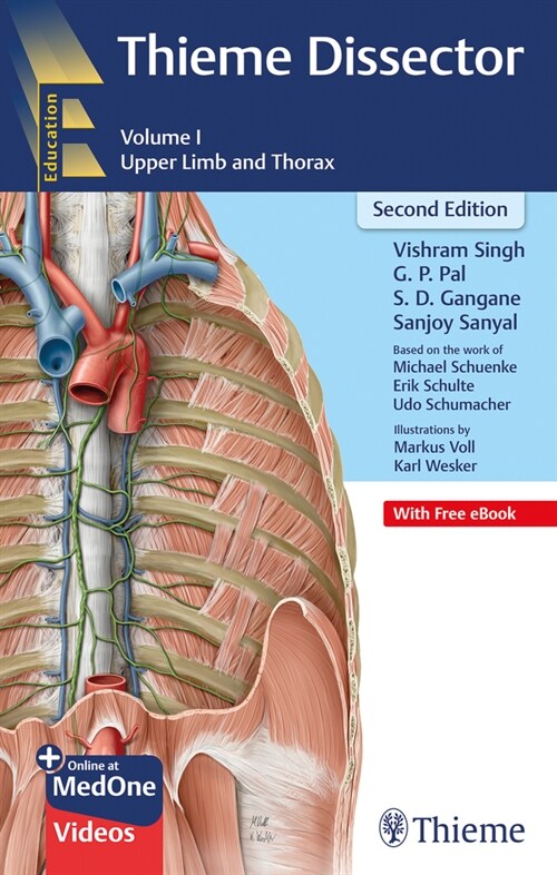 Thieme Dissector Volume 1: Upper Limb and Thorax (Paperback)