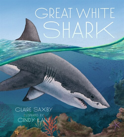 Great White Shark (Hardcover)