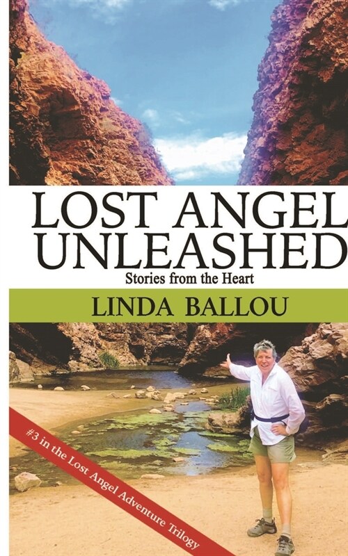 Lost Angel Unleashed: Stories from the Heart (Paperback)