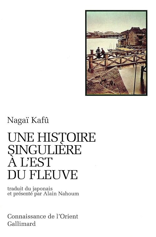 UNE HISTOIRE SINGULIERE A LEST DU FLEUVE (Paperback)