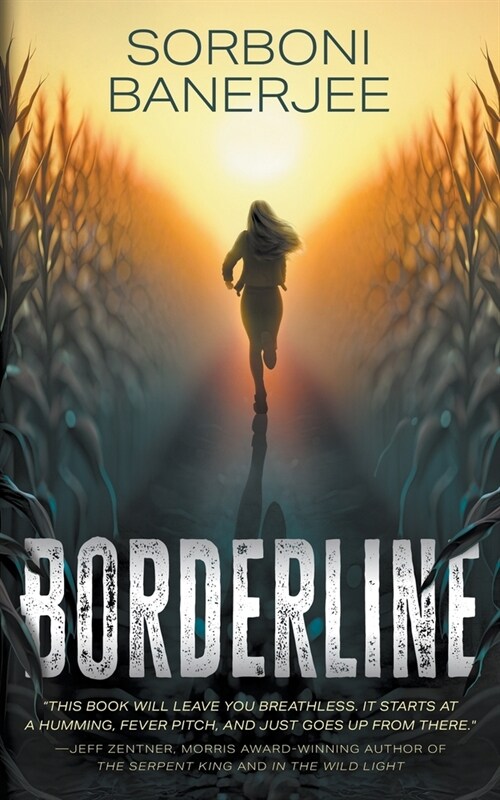 Borderline: A YA Romantic Suspense Thriller novel (Paperback)