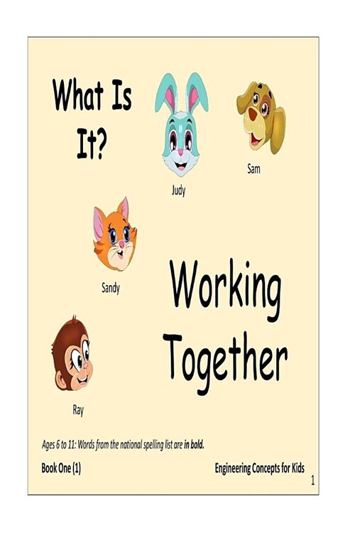 What is it: Work together with Sam, Judy, Ray and Sandy to solve the mystery in the photograph. (Paperback)