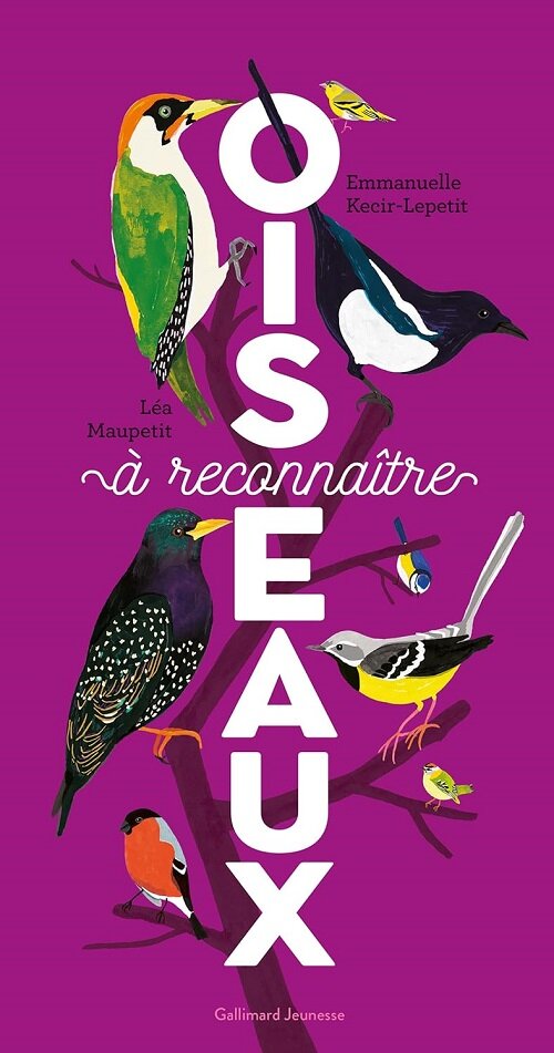 OISEAUX A RECONNAITRE (Hardcover)