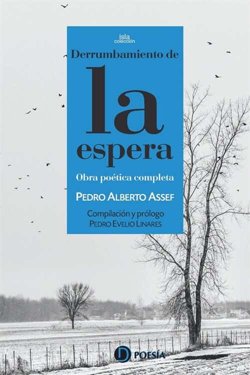 Derrumbamiento de la espera (Paperback)