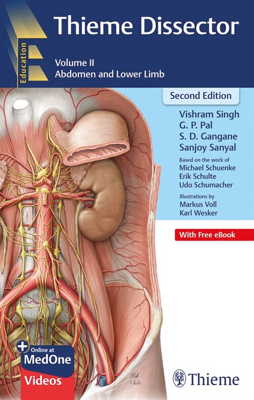 Thieme Dissector Volume 2: Abdomen and Lower Limb (Paperback)