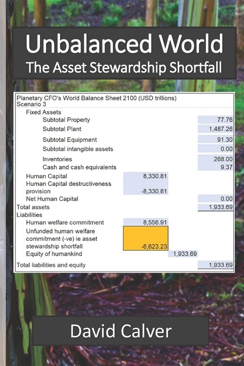 Unbalanced World: The asset stewardship shortfall (Paperback)