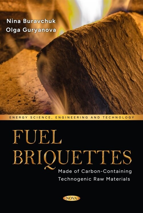 Fuel Briquettes Made of Carbon-Containing Technogenic Raw Materials (Paperback)