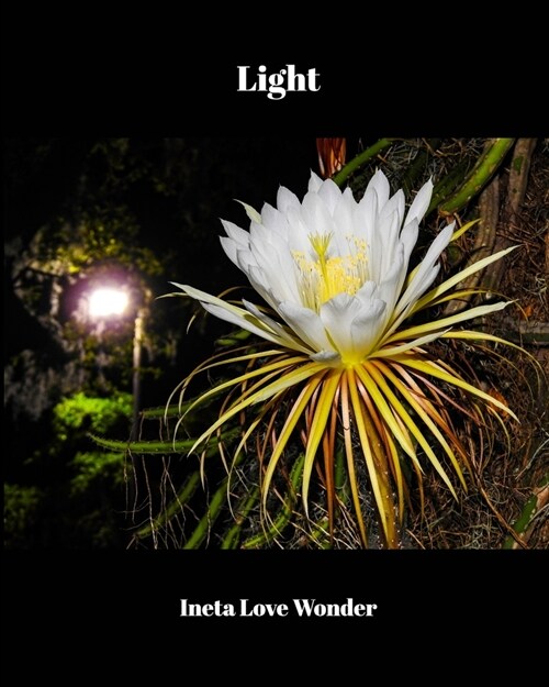 Light (Paperback)