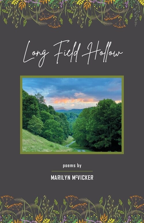 Long Field Hollow (Paperback)