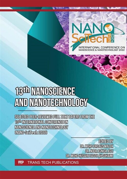 13th Nanoscience and Nanotechnology (Paperback )