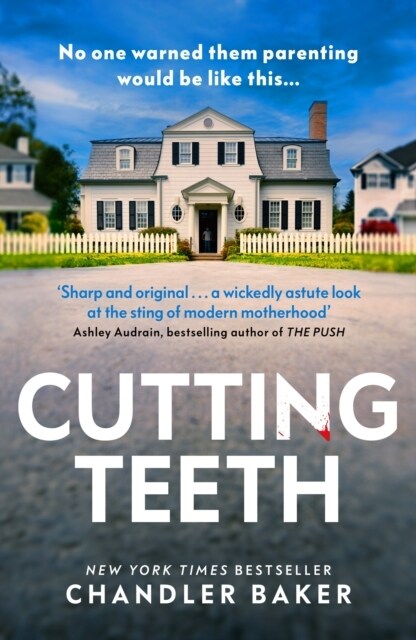 Cutting Teeth : No parent could have expected this… (Hardcover)