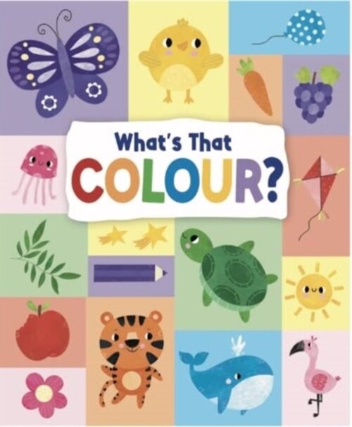 Whats That Colour (Hardcover)
