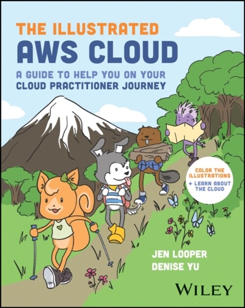 The Illustrated Aws Cloud: A Guide to Help You on Your Cloud Practitioner Journey (Paperback)