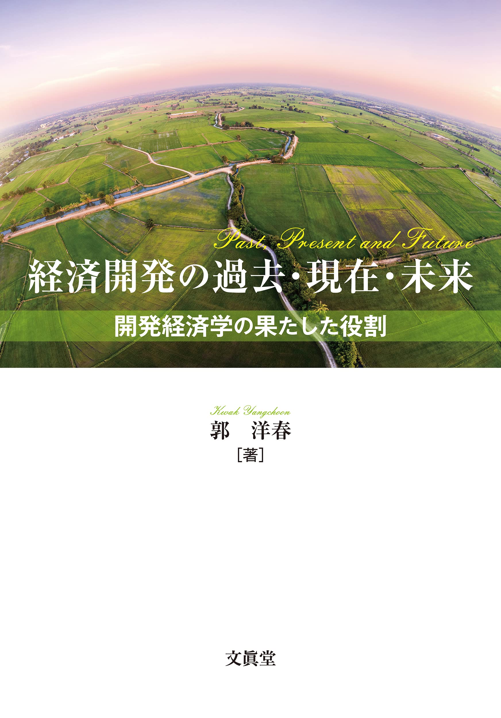 經濟開發の過去·現在·未來: 開發經濟學の果たした役割