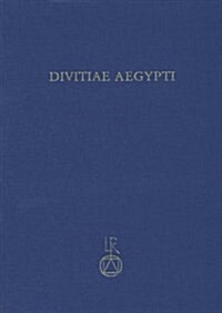 Divitiae Aegypti: Koptologische Und Verwandte Studien Zu Ehren Von Martin Krause (Hardcover)