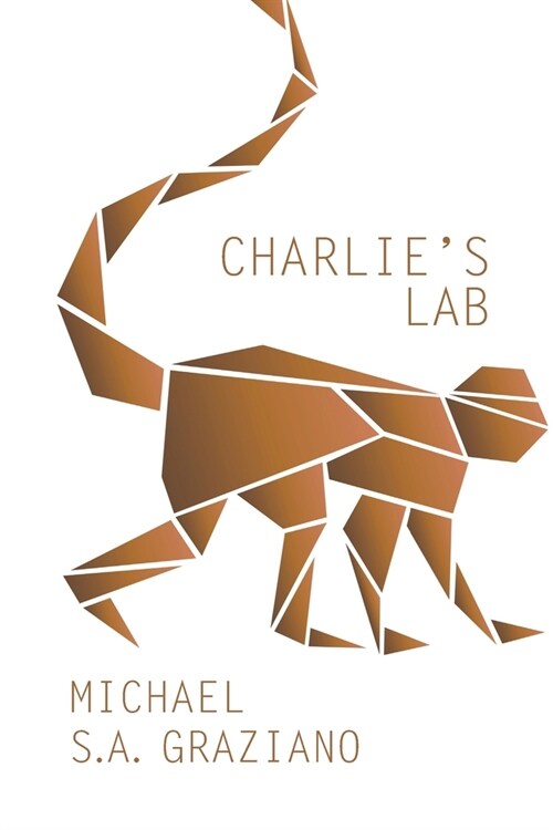 Charlies Lab (Paperback)