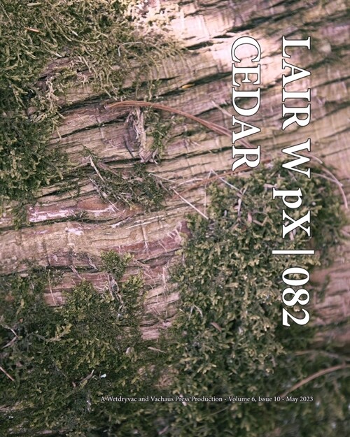 LAIR W pX 082 Cedar (Paperback)