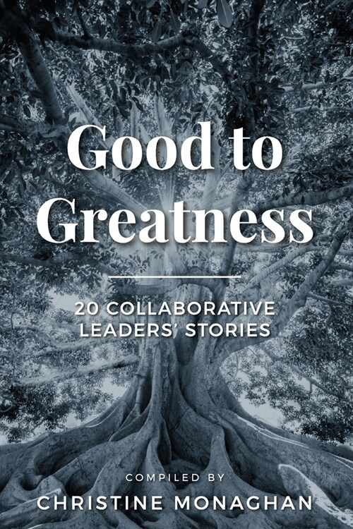 Good to Greatness: 20 Collaborative Leaders Stories (Paperback)