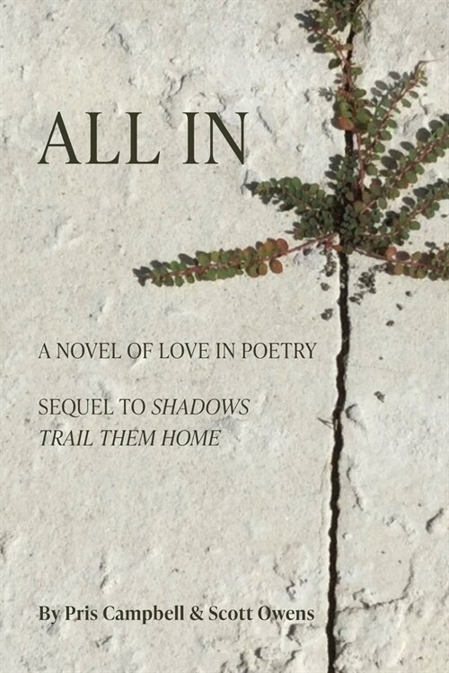 All In: A Novel of Love in Poetry (Paperback)