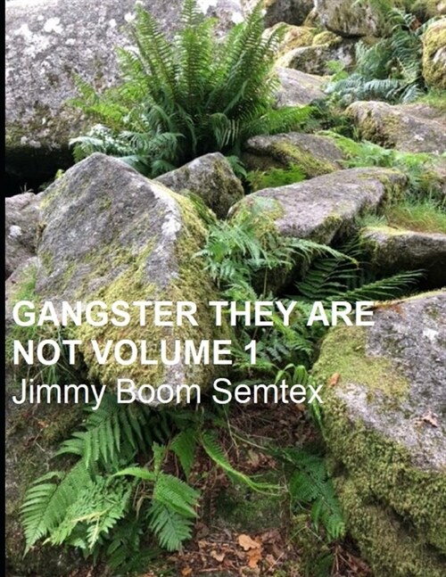 Gangster They Are Not Volume 1 (Paperback)