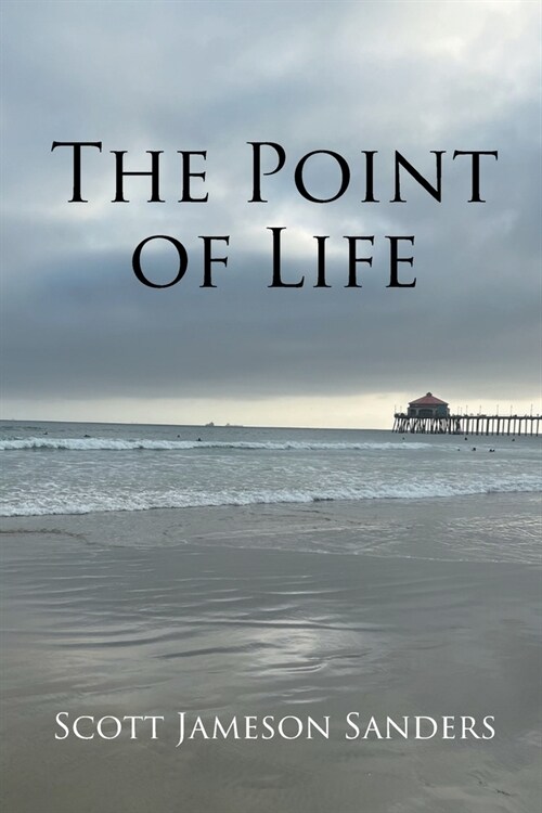The Point of Life (Paperback)